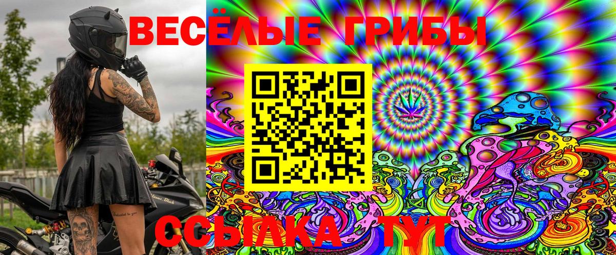 Псилоцибиновые грибы Magic Shrooms  Вход с VPN  продажа наркотиков  Лесозаводск 
